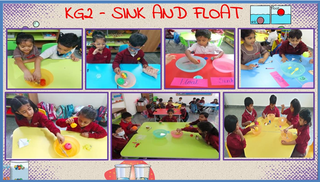 SINK AND FLOAT ACTIVITY